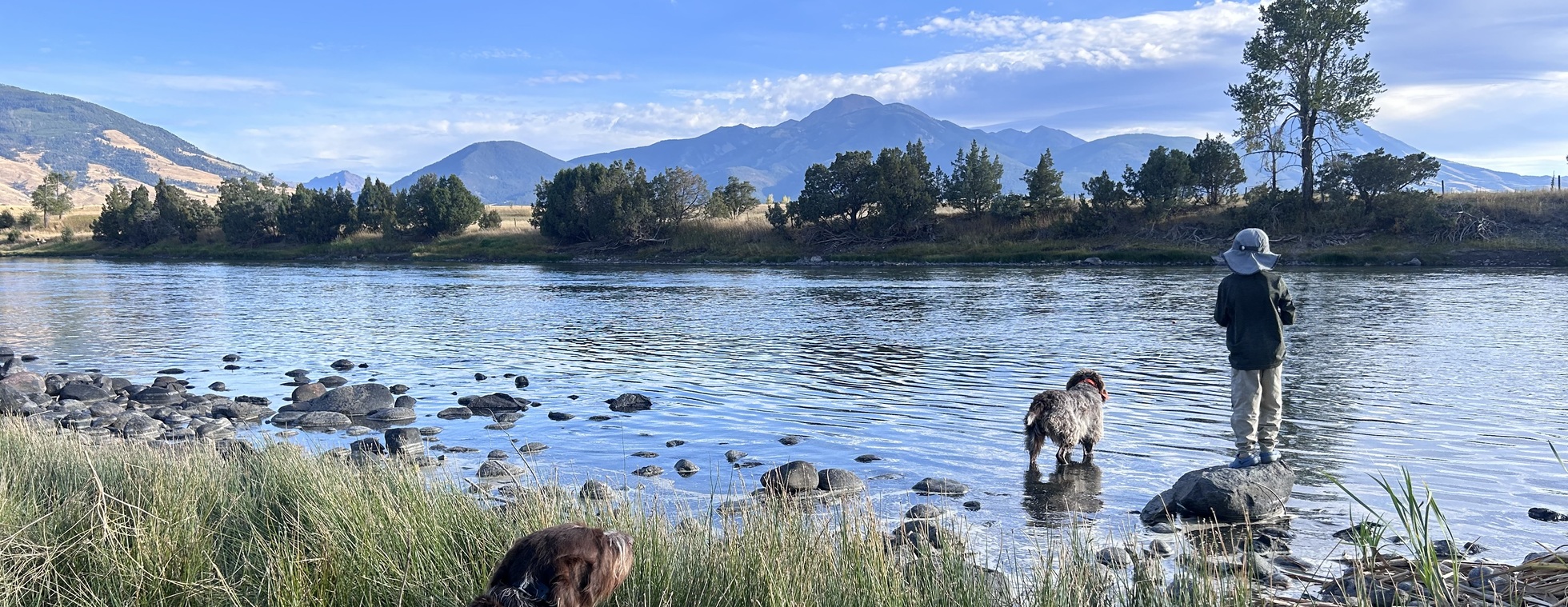 PLWA 40th Anniversary Raffle